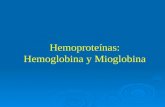 6. Hemoglobina