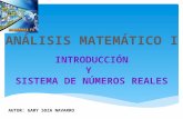 Análsisi Matemático I Introduccion