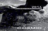Cosmic Stock en Mexico 2014