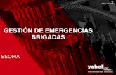 Gestión de Emergencias ( Brigadas )