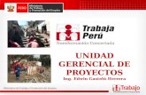 UNIDAD GERENCIAL DE PROYECTOS - TRABAJA PERU 2015 (ZONA NORTE DEL PERU)