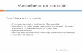 Mecanismos de Reaccion