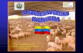 Situacion Porcina en Veneezuela