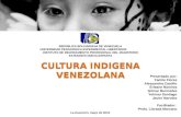ORIGEN, EVOLUCIÓN Y UBICACIÓN CULTURAS INDÍGENAS EN VENEZUELA
