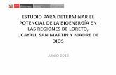 Potencial de La Bioenergã_a Loreto, Ucayali, San Martin y Madre de Dios (1)