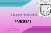 Pancreas Endocrino