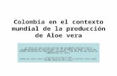 Contexto Mundial de La Produccin de ALOEVERA