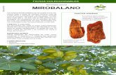 81 - Mirobalano.pdf