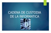 Cadena de Custodia de La Informatica