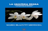 La Orquídea Negra