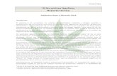 Reporte Tecnico Legalizacion Marihuana