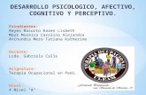 Desarrollo Psicologico, Afectivo, Cognitivo y Perceptivo.