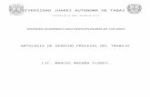 Antologia de Derecho Procesal Del Trabajo. (Autoguardado)