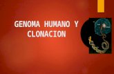 Presentacion Genoma Humano y Clonacion