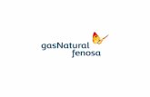 Jornadas Profesionales Gas Natural Fenosa (Bogotá abril 10 de 2014).pdf