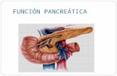 Pancreas 2014