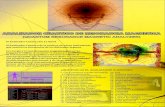 Analizador Cuantico Brochure