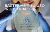 Bacterias y Su Uso Industrial Comp