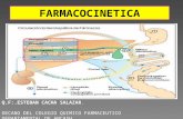 CLASE 02-FARMACOCINETICA.ppt