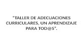 Taller de Adecuación Curricular, Santiago 2014