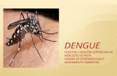 Capacitacion Dengue