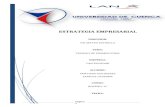 Analisis empresarial LAN airlines