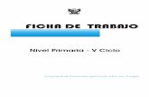 5to Ciclo_primaria.pdf