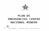PLAN DE  EMERGENCIAS CENTRO NACIONAL MINERO