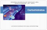 Teoría Carbohidratos 2015 1(1)