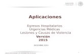 01 Aplicaciones Subsistemas Hospitalarios 2015