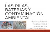 Las Pilas, Baterias y Contaminación Ambiental 05.05