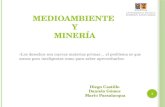 Medioambiente y Mineria Presentación Final