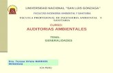 Auditoria - Generalidades
