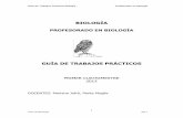 Guía PROFESORADO 2013.pdf