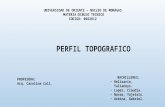 Perfil Topografico.pptx [Autoguardado]