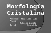 Trabajo de Morfologia-crista
