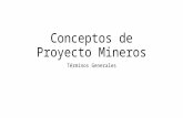 Conceptos de Proyecto Mineros