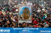 Tradicion Guadalupana en México 2014
