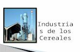 Industrias de Los Cereales
