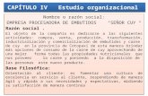 CAPÍTULO IV   Estudio organizacional  diaposssitivasss.pptx