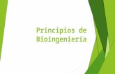 Principios de Bioingeniería