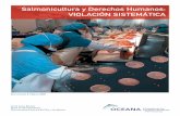 Violacion Sistematica DDHH Salmonicultura en Chile