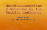 Derechos Indigenas Dpp 2015
