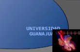 Universidad Guanajuato