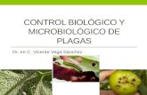 Control Biológico y Microbiológico de Plagas