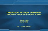 Completacao de Pocos Submarinos - Visao Geral e Cenario Pre-Sal Da Bacia de Santos