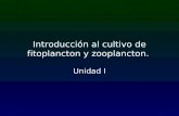 1.-Introducción Al Cultivo de Fitoplancton y Zooplancton