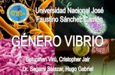 Género Vibrio