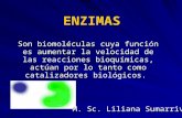 Enzimas (1).ppt