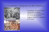 Comunidades indigenas Suramerica